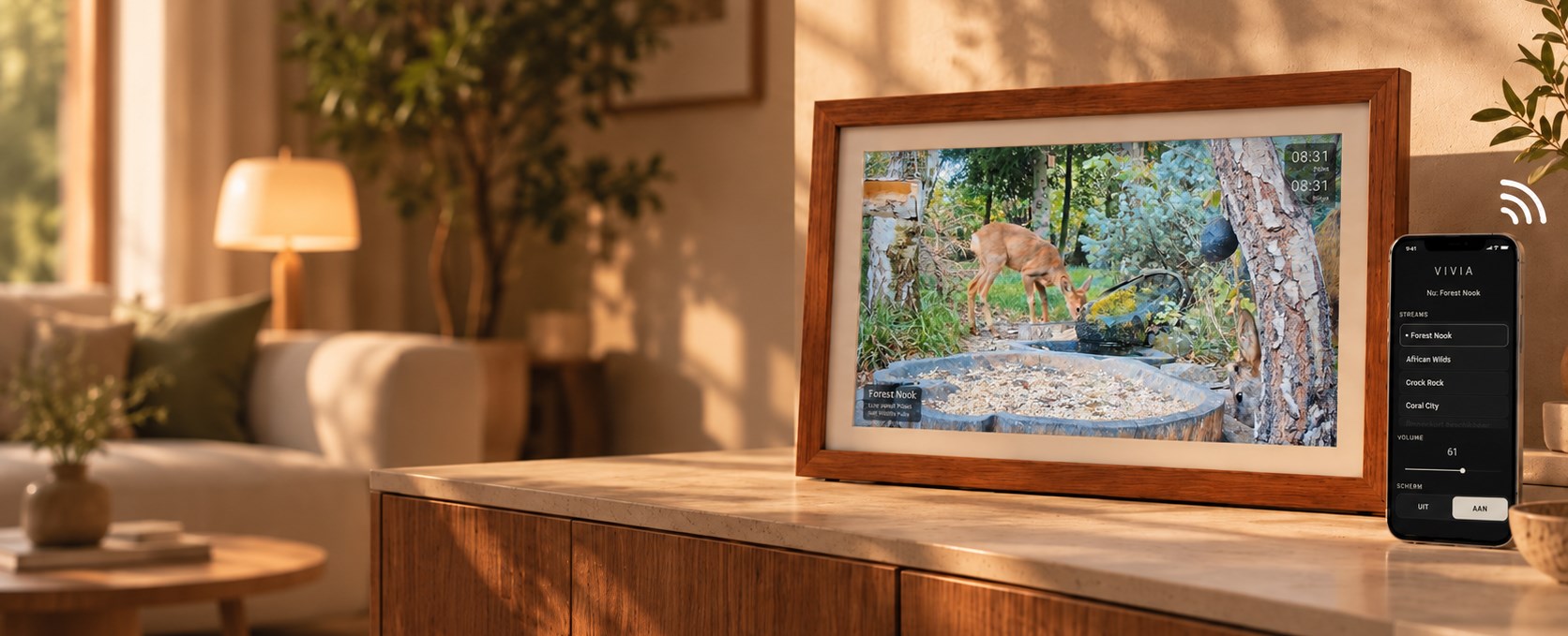 VIVIA wooden frame in a living room, showing a live Forest Nook stream, with the companion app open on a phone beside it